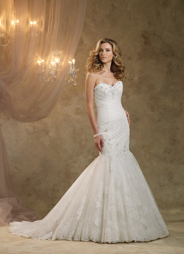 2013 - 2014 Wedding Dress