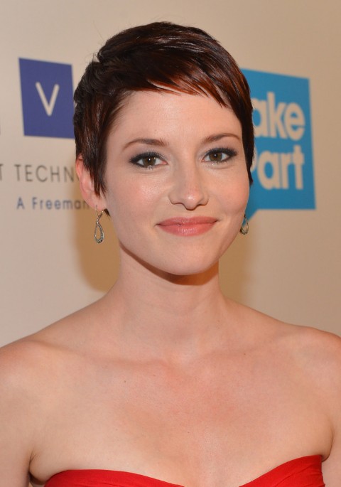 Best Pixie Haircuts For Fine Hair Alexandraindries Com