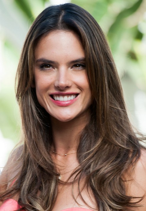 Alessandra Ambrosio Long Hairstyle: Brown Hair with Curly Ends