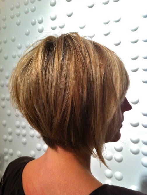 Back View of Layered Bob Hairstyle