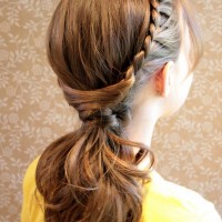 20 Braided Hairstyles Tutorials: Drag Braided Ponytail for Everyday