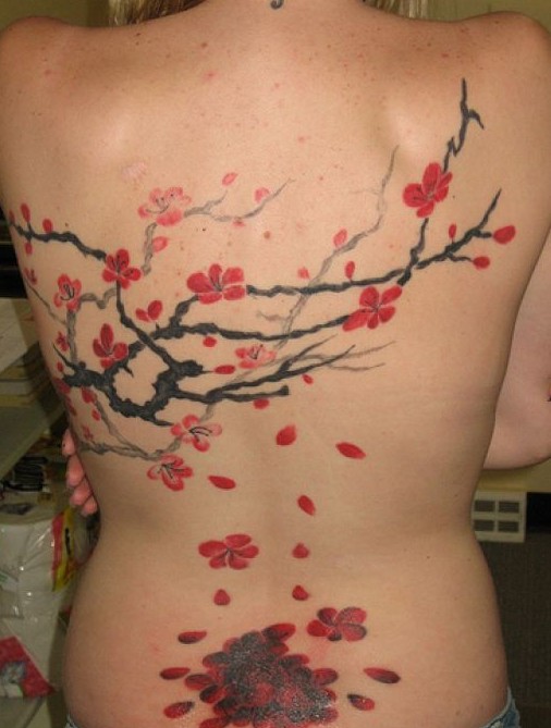 Cereja Tatuagens Desenhos: flor de Cerejeira tatuagens nas costas