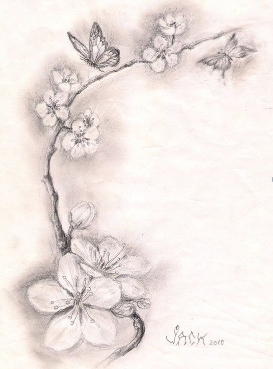 桜の入れ墨のデザイン
