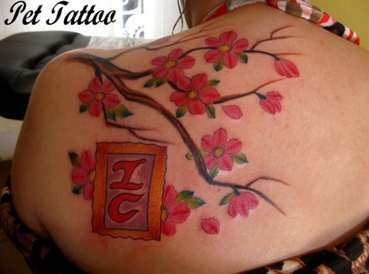 Cute Cereja Desenhos de Tatuagens: Tatuagem de cerejeira flor no ombro para uma rapariga