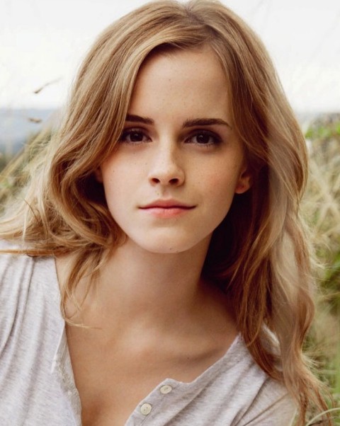 Coiffure longue d'Emma Watson : Cheveux bruns