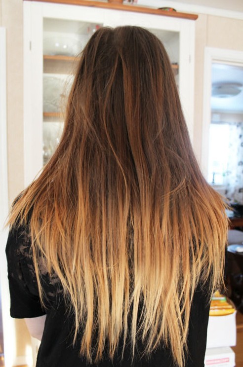 Brown to Light Brown Ombre Hair
