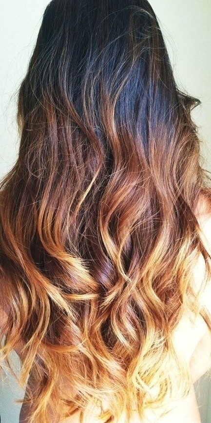 Dark to Brown Blonde Ombre Hair