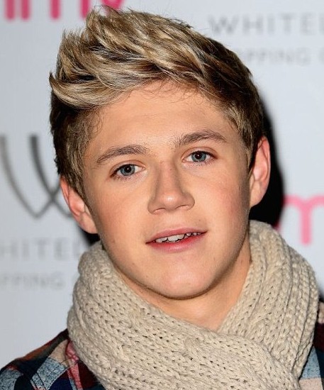 Niall Horan Hairstyles for Guys