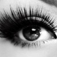 3 Steps to Wear False Lashes Perfectly