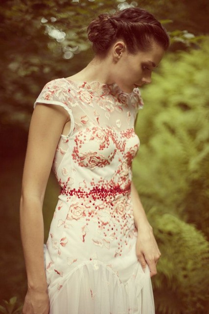 Beautifull lace dress with red embroidery and cap shoulders