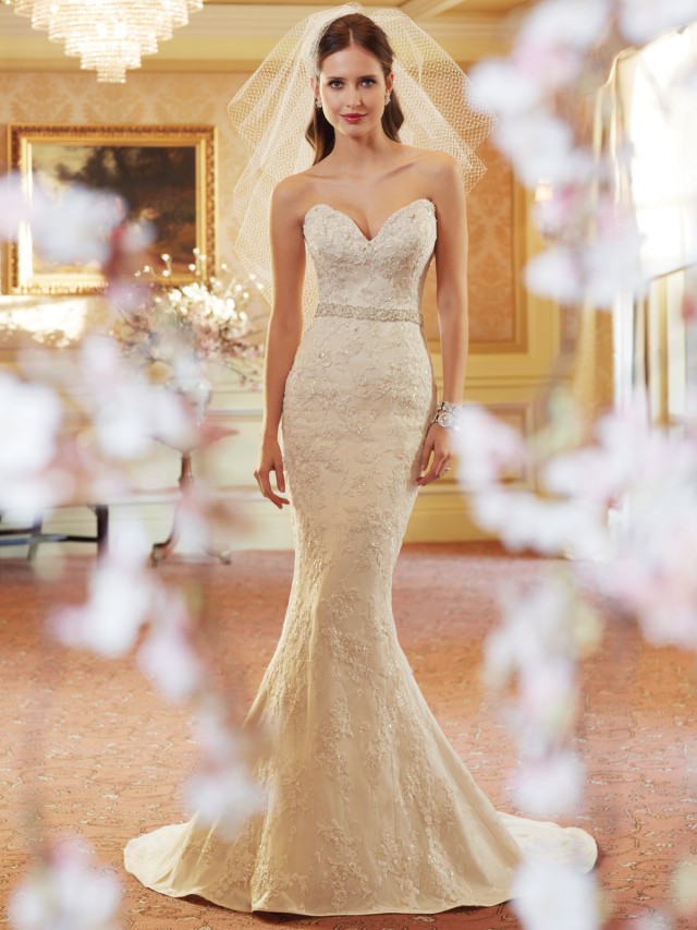 A Collection of 18 Breathtaking Bridal Gowns By Sophia Tolli | Spring Collection
