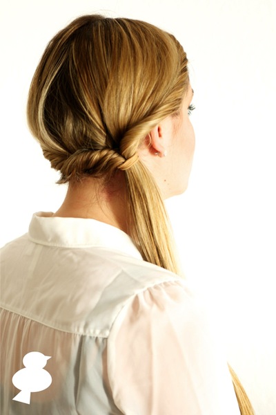 Double Twisted Ponytail