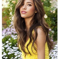 Brunette Hair with Golden Highlights