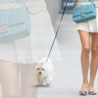 Hot Mini Skirts Outfit Ideas for Summer