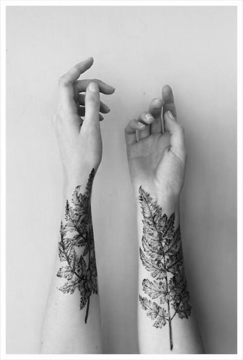 Fantastic Plant Tattoo Designs Pretty Designs
