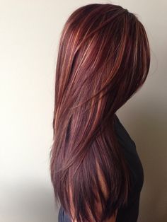 Dark Red Straight Hairstyle