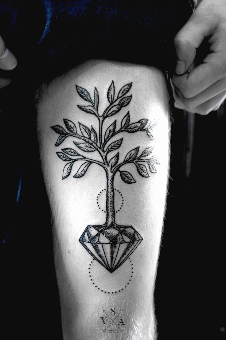 Faddish Plant Tattoo
