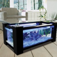 Fish Tank Coffee Table
