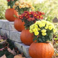 Pumpkin Planters