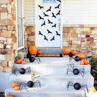Bats and Spiders