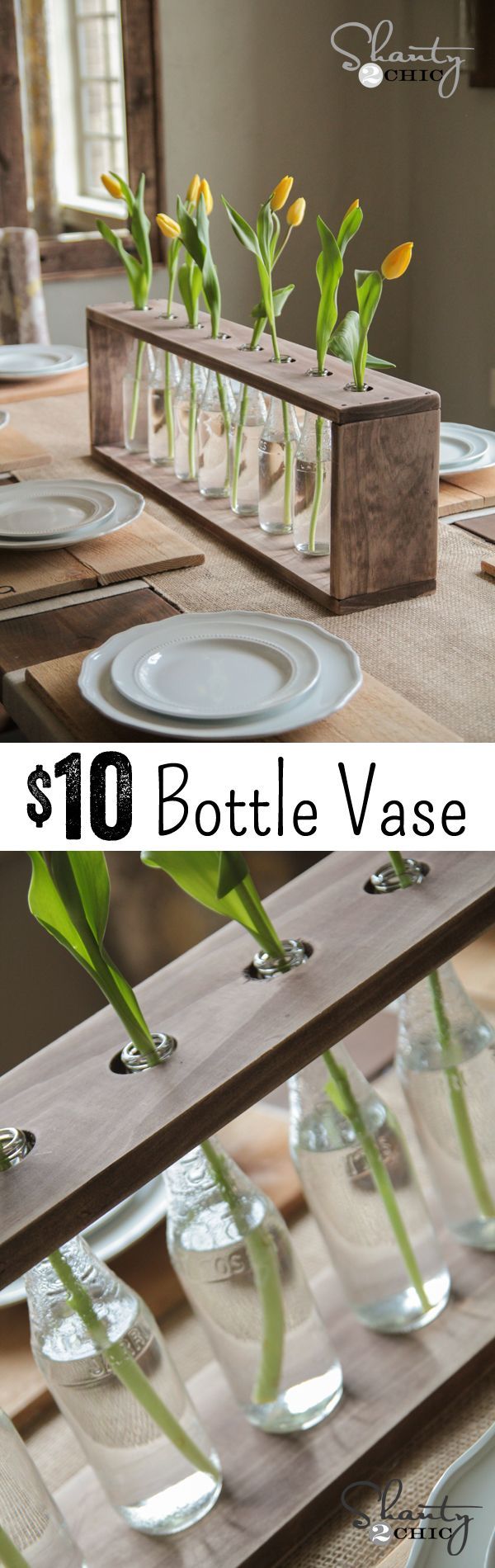 Bottle Vases