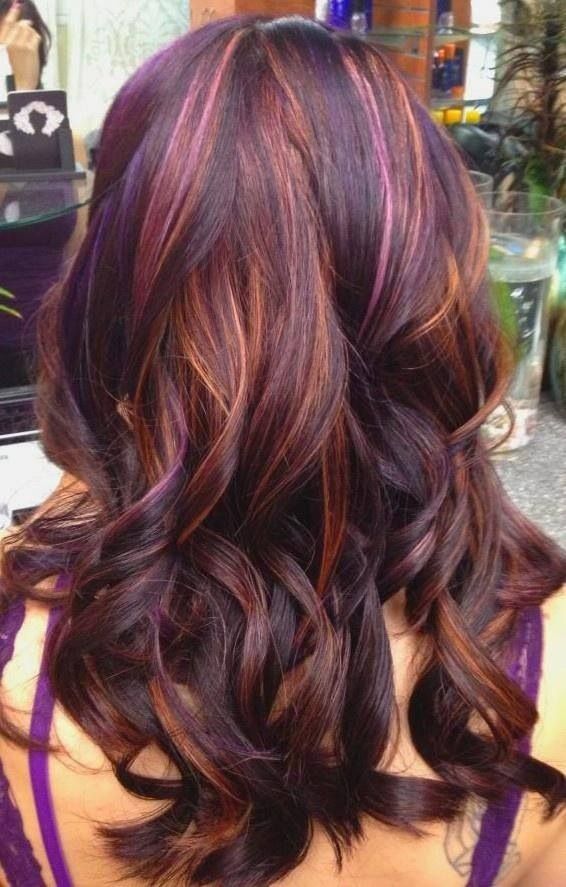 Purple and Gold Colored Hairstyle