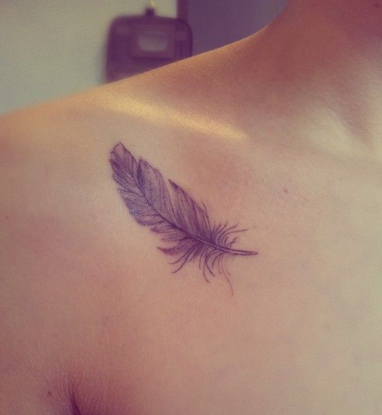 Feather Tattoo on Shoulder