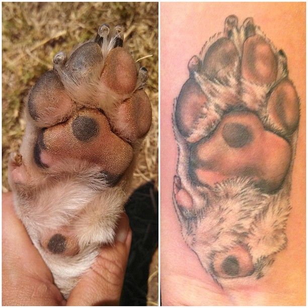 Lovely Paw Tattoo of Your Dog