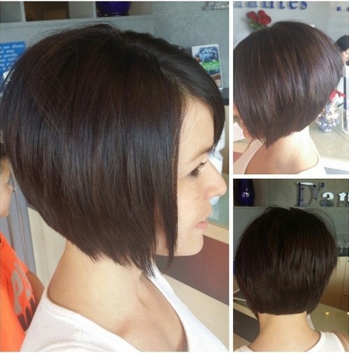 Bob Hairstyle For Women Suzanne Shaw Haircuts Pretty Designs