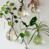 Wall Bulbs
