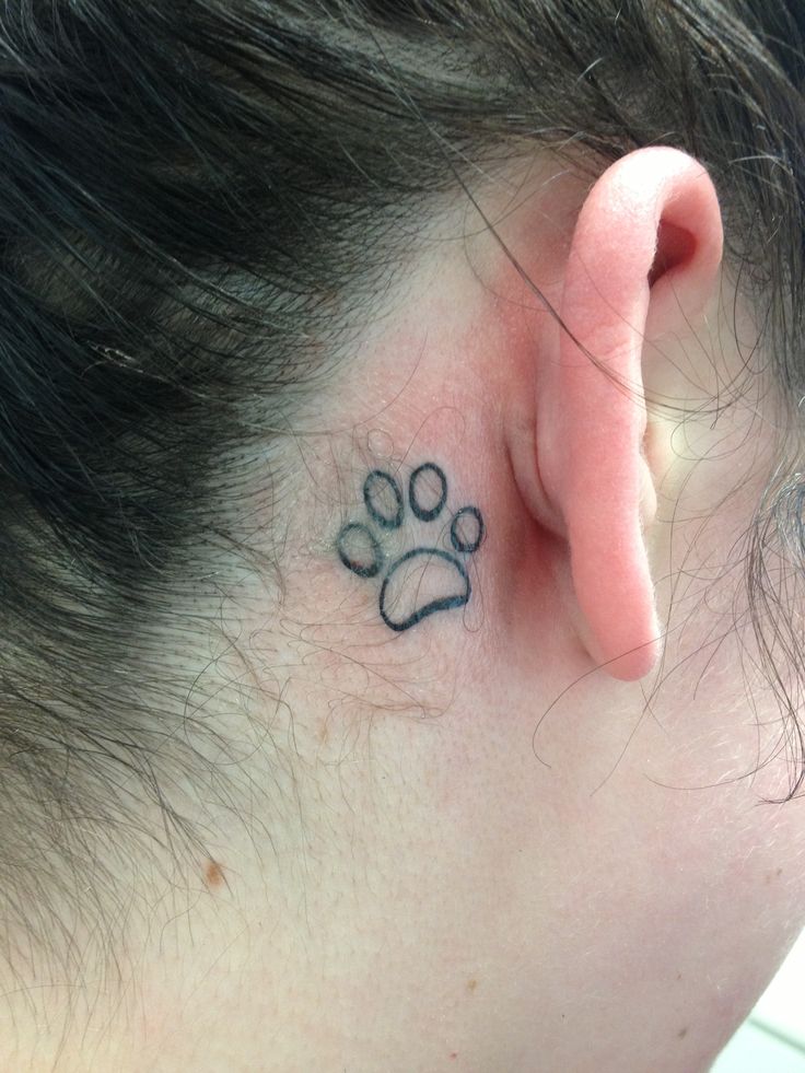 Paw Tattoo behind Ears