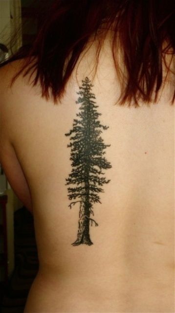 Pine Tree Tattoo on Back