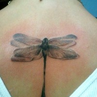 Pretty Dragonfly Tattoo