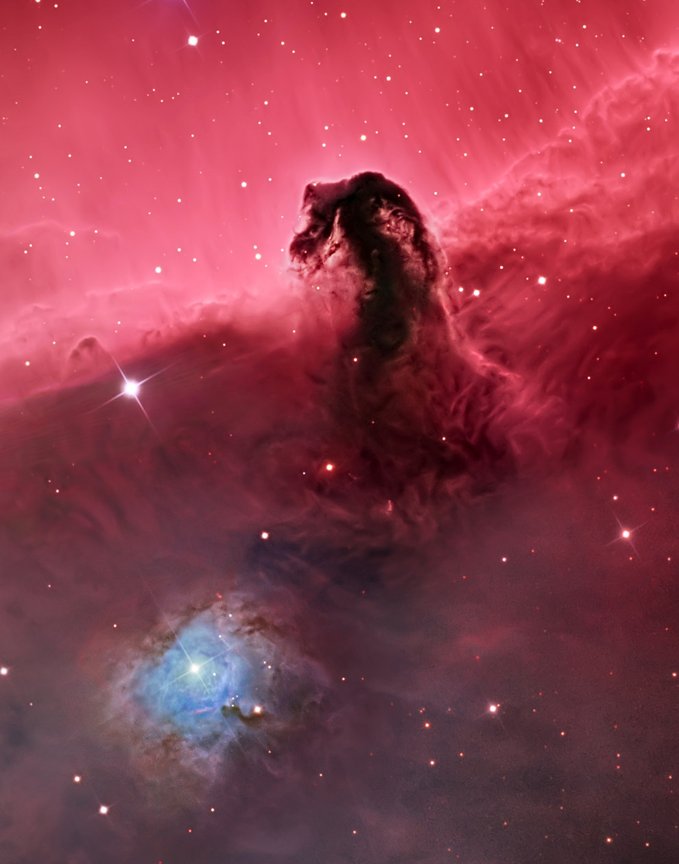 Winner, Deep Space – "Horsehead Nebula (IC 434)" by Bill Snyder