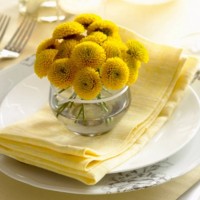 Cute Daisy Decoration