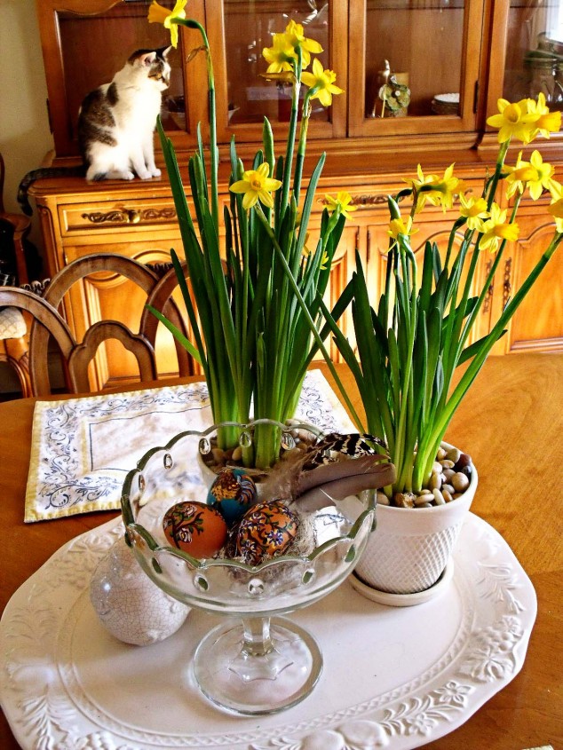 Daffodil Decoration