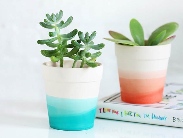 Cute Plants and Neutral Planters