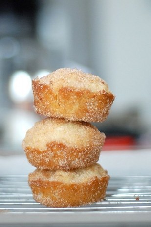 Cinnamon Sugar Donut Muffin Bites