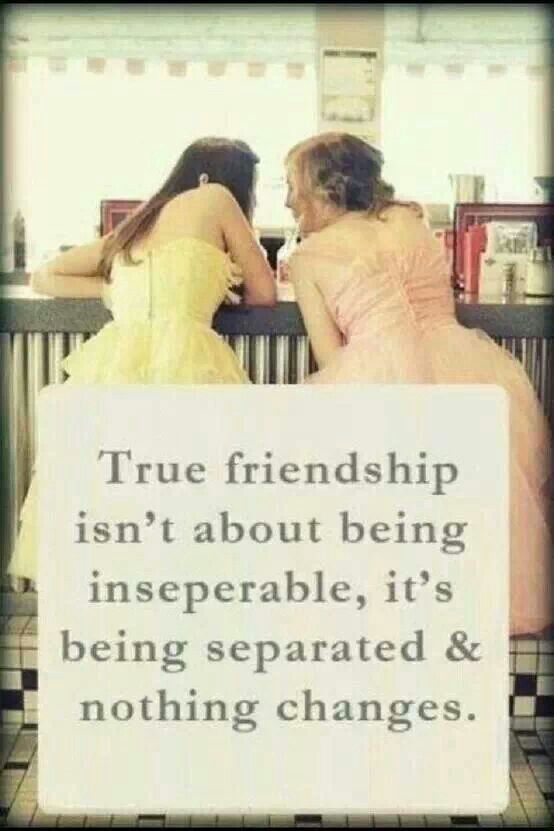 Friendship Quotes 7