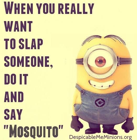 Funny Quotes 18