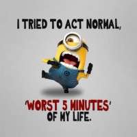 Funny Quotes 32