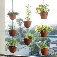 Thehorticult