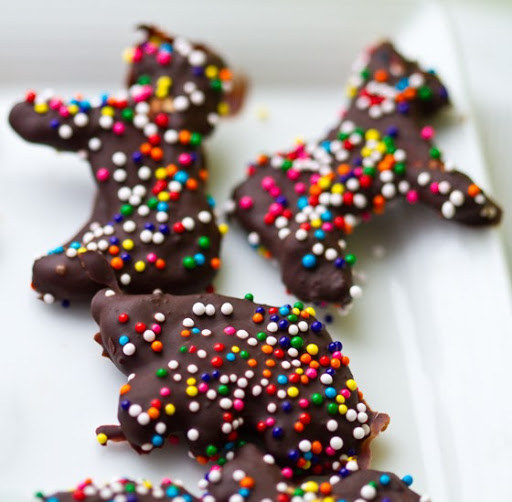 Chocolate-covered Animal Cookies
