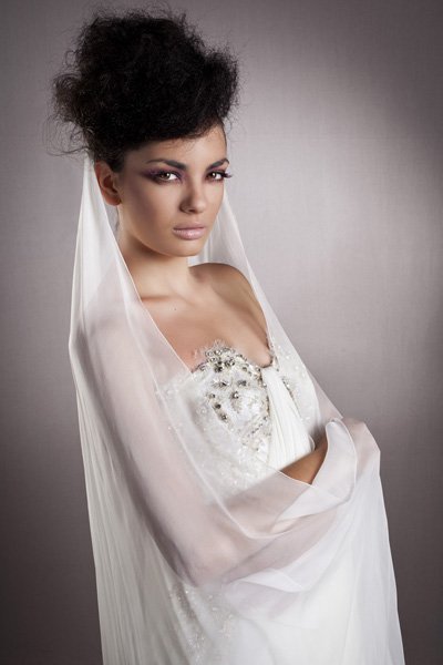 Bridal Hairstyle With Veils