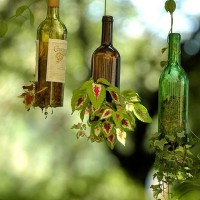 20 Hanging Planter Ideas for Home