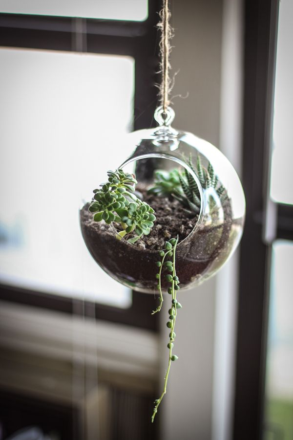 20 hanging planter ideas for home12