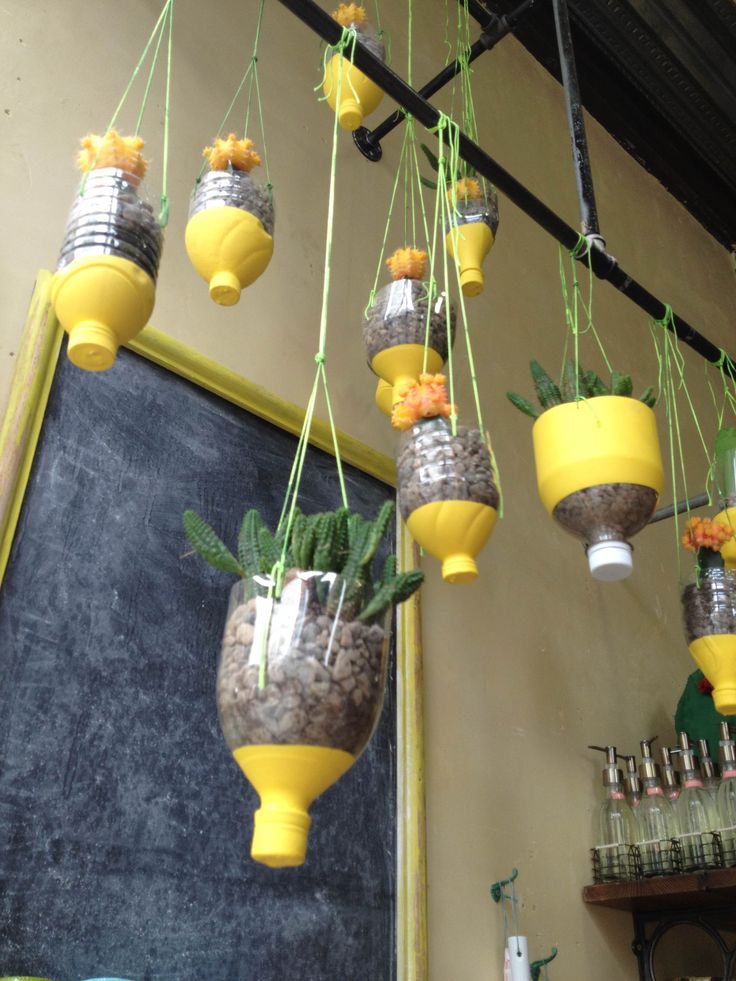 20 Hanging Planter Ideas for Home
