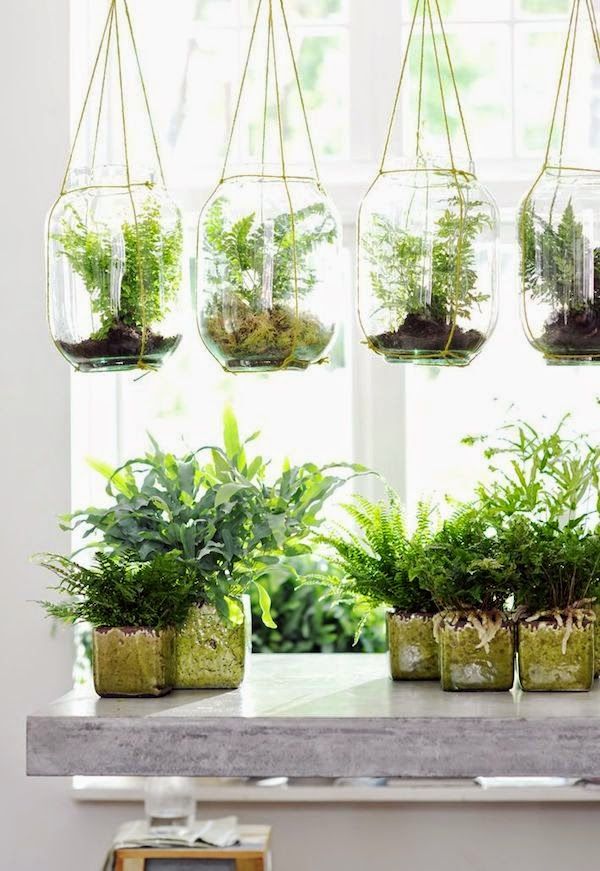 20 hanging planter ideas for home19