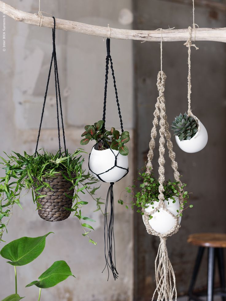 20 hanging planter ideas for home6