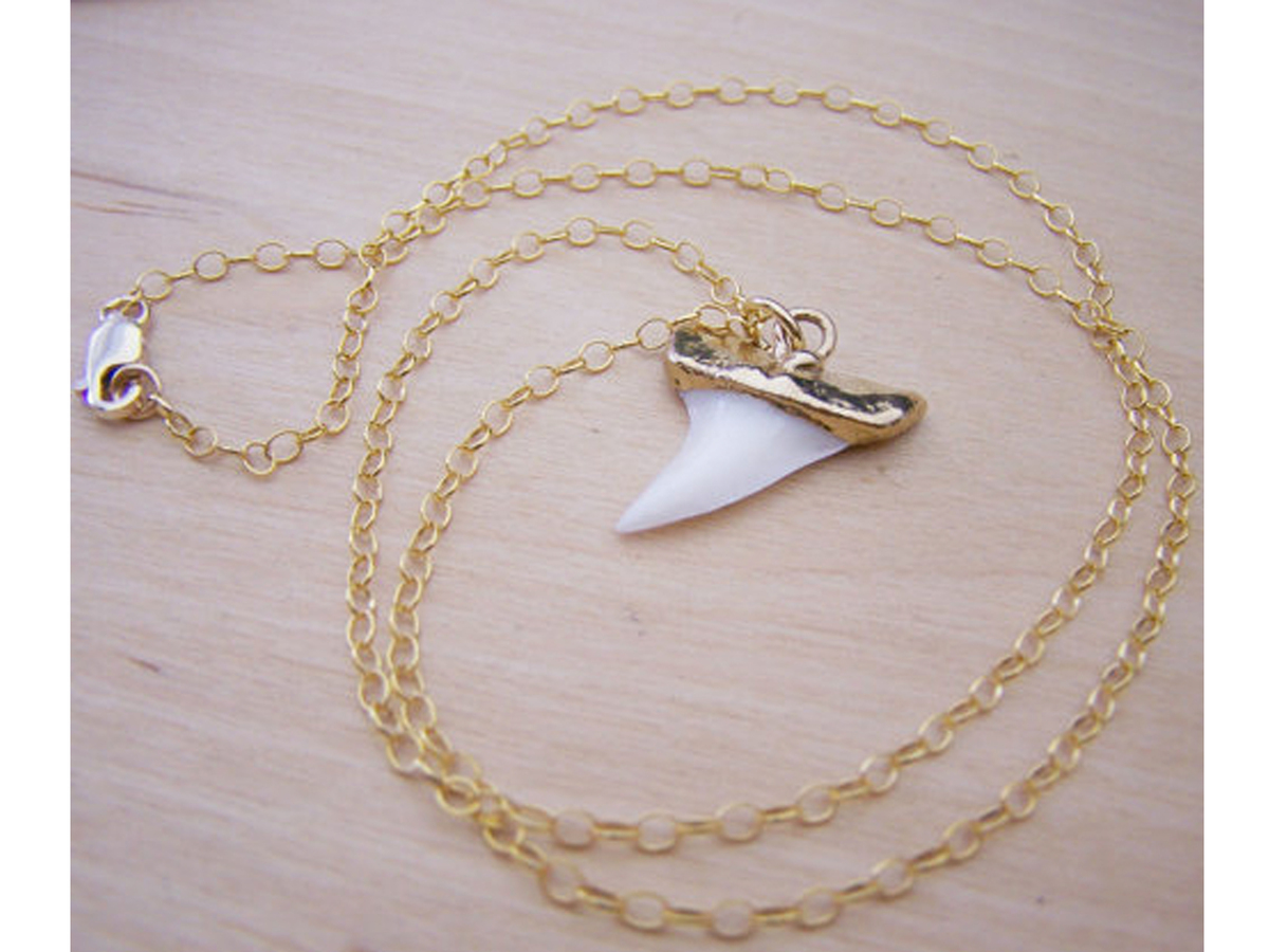 Real Shark Tooth Pendant 14k Gold Filled Long Necklace Gift for Her, $32
